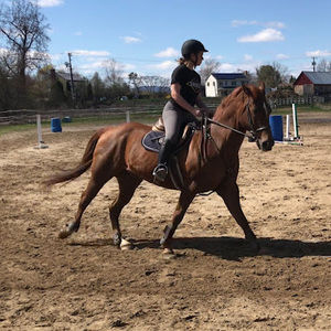 Meet your Posher, Calli